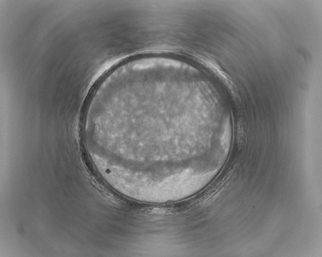 X0000115451412200912020956