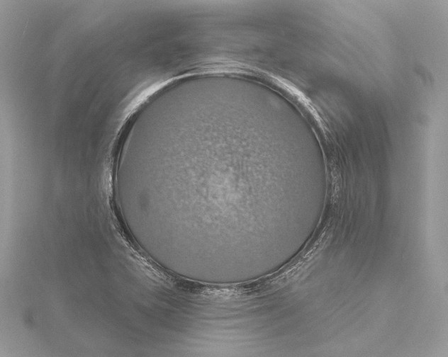 X0000115451415200912020956