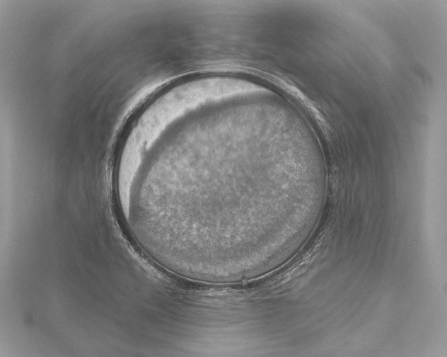 X0000115451416200912020956