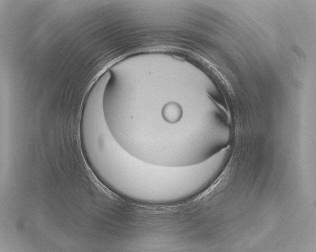 X0000115451417200912020956