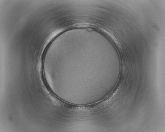 X0000115451418200912020956