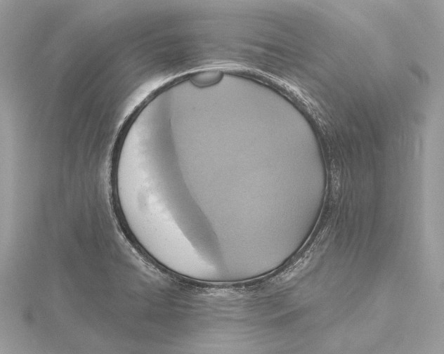 X0000115451422200912020956