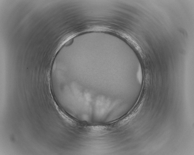 X0000115451425200912020956