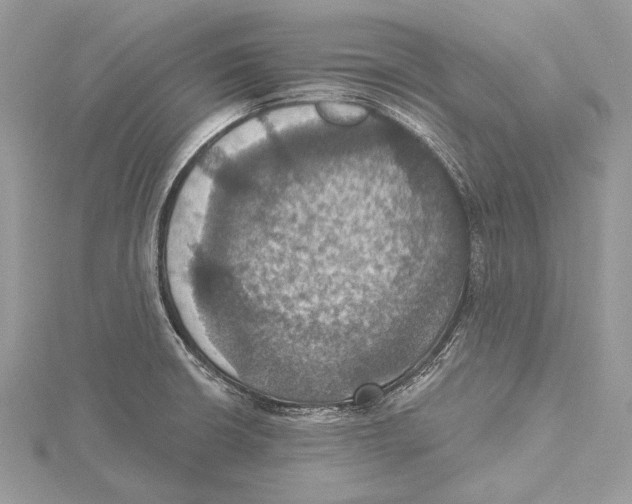 X0000115451426200912020956