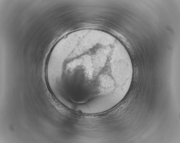 X0000115451427200912020956