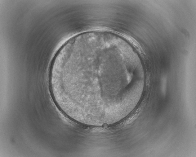 X0000115451430200912020956