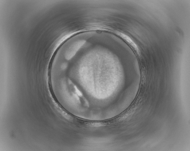 X0000115451431200912020956