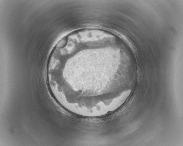 X0000115451432200912020956