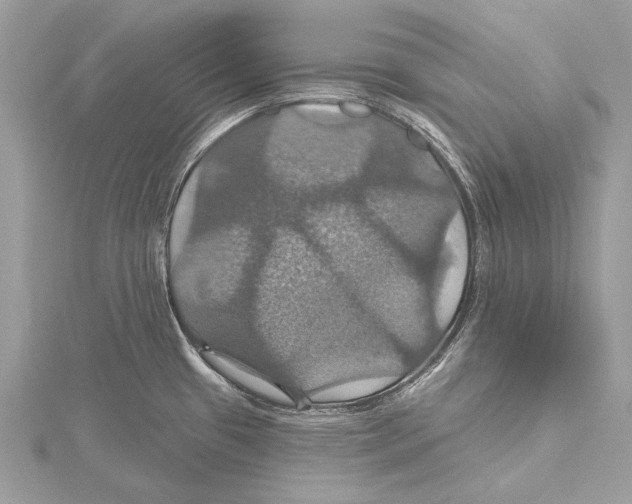 X0000115451433200912020956