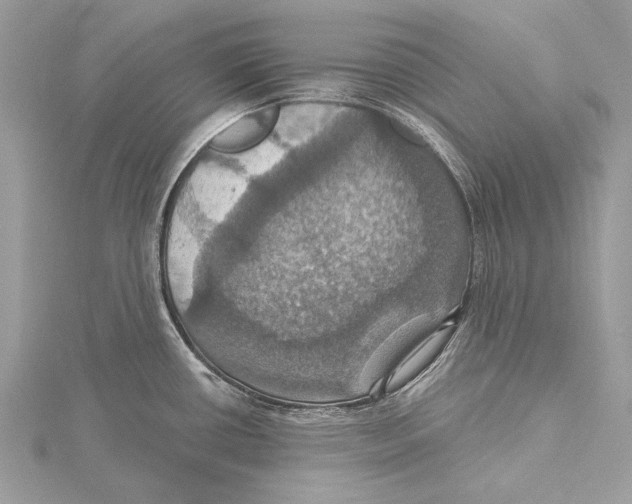 X0000115451434200912020956