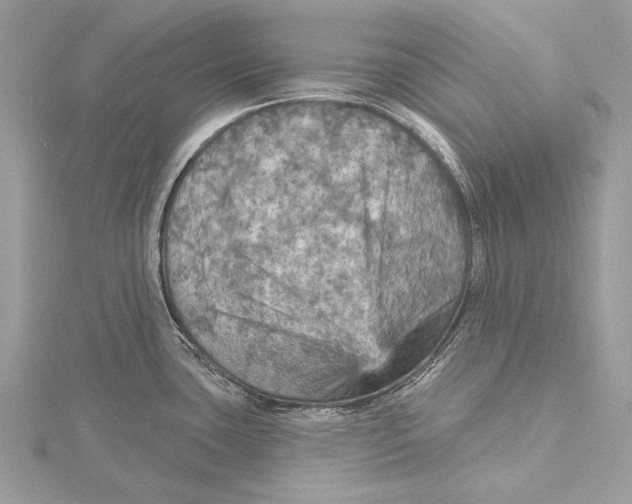 X0000115451435200912020956