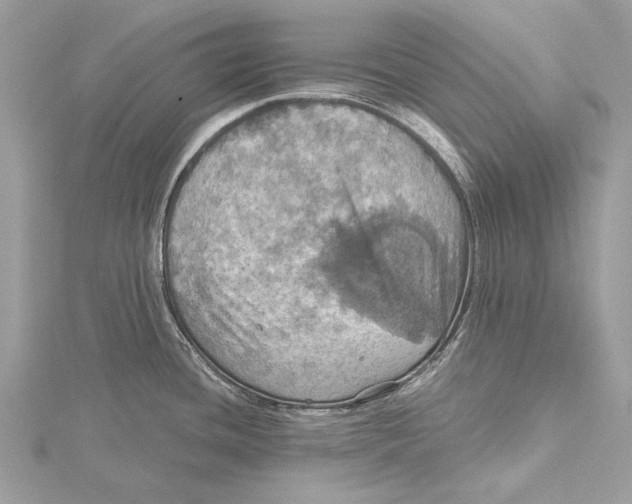 X0000115451436200912020956