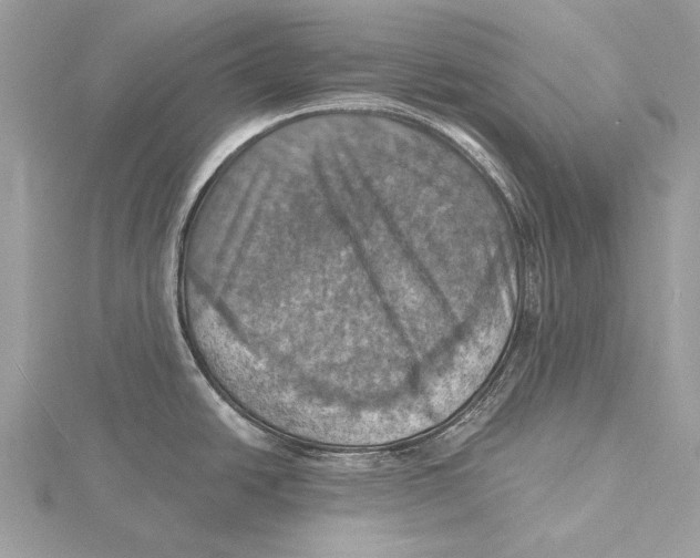 X0000115451438200912020956