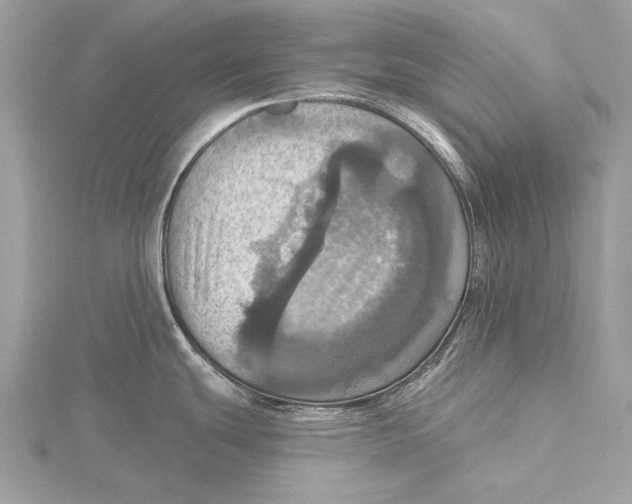 X0000115451439200912020957