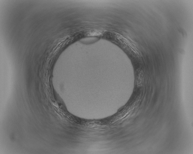 X0000115451441200912020956