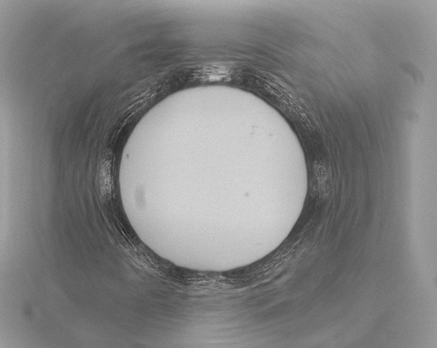 X0000115451442200912020956