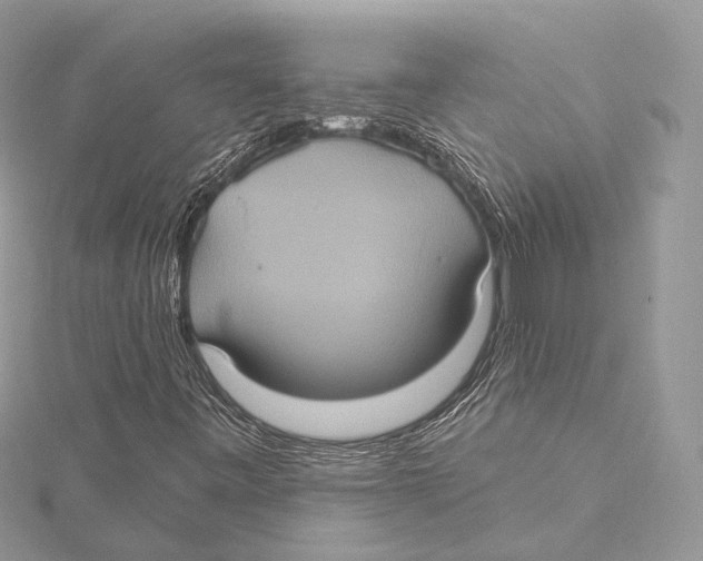 X0000115451443200912020956