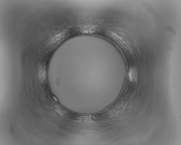 X0000115451444200912020956