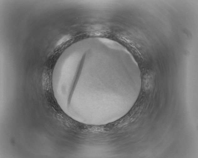 X0000115451446200912020956