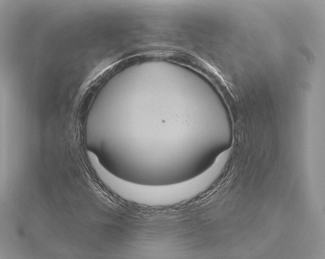 X0000115451448200912020956