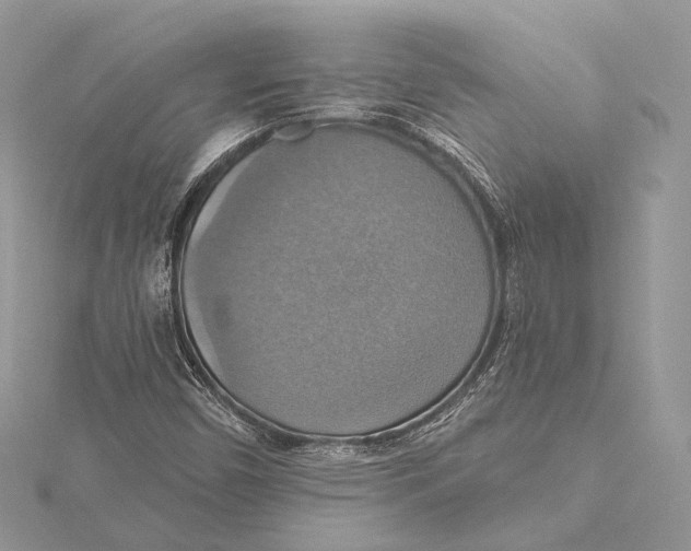 X0000115451450200912020956