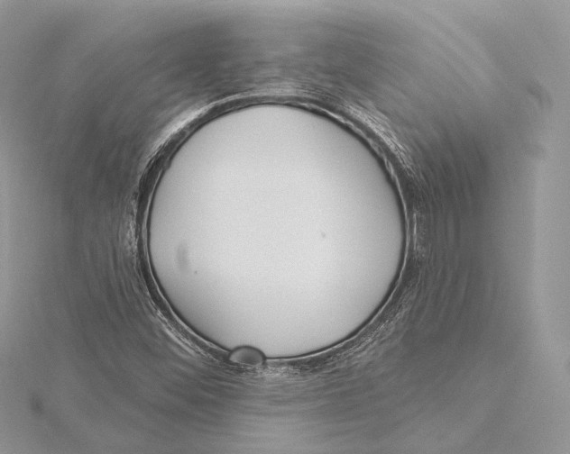 X0000115451452200912020956