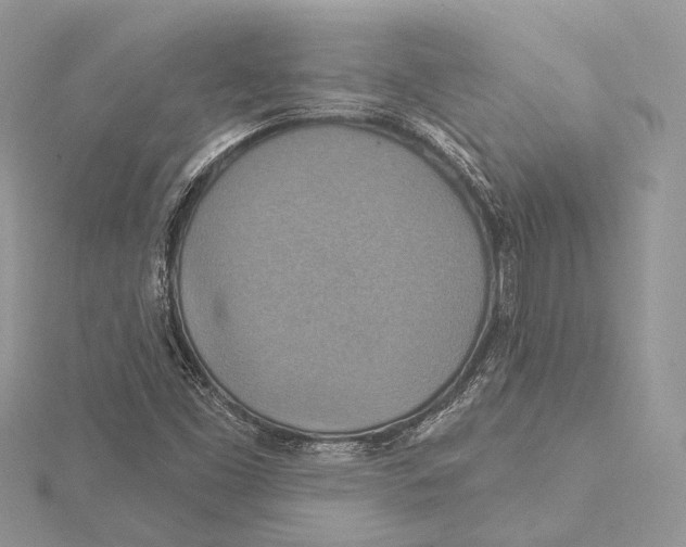 X0000115451453200912020956