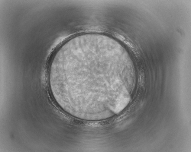 X0000115451454200912020956