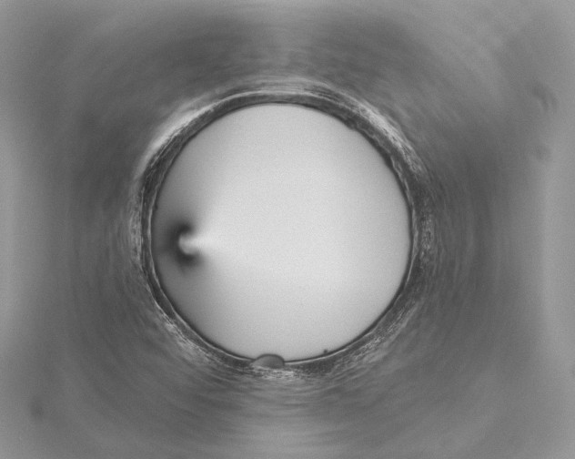 X0000115451456200912020956