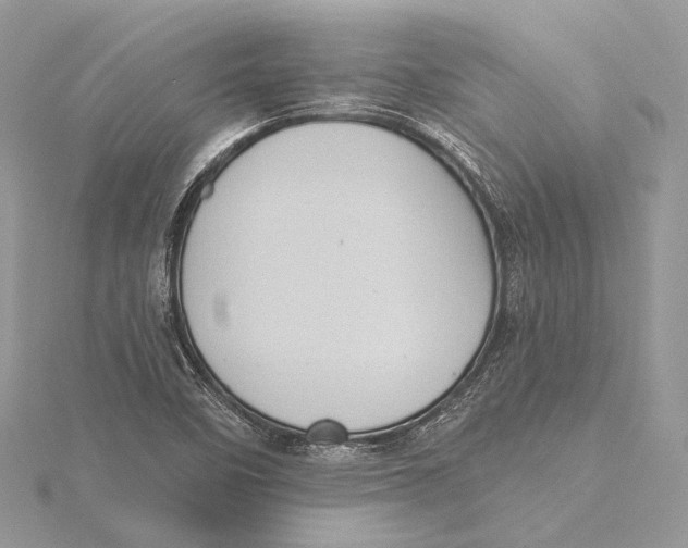 X0000115451458200912020956