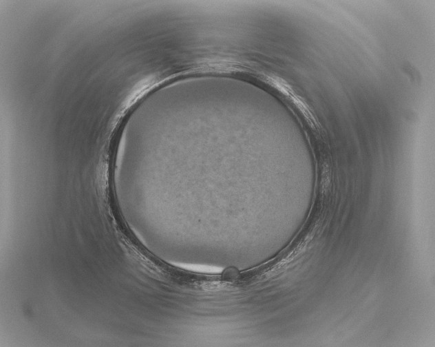 X0000115451459200912020956