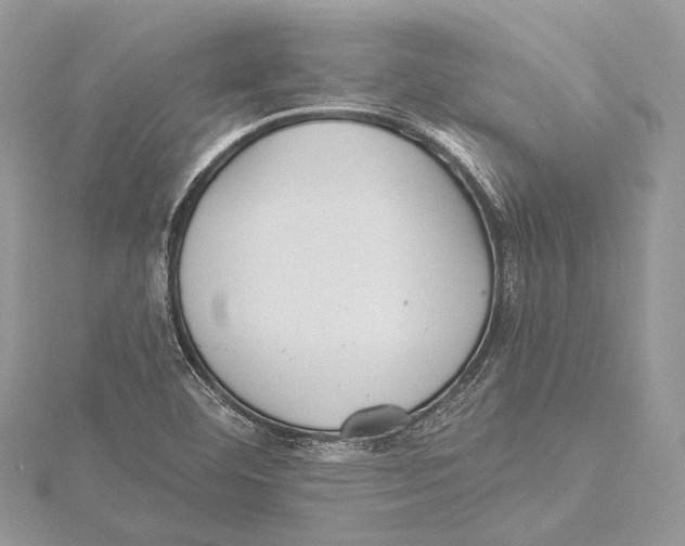 X0000115451460200912020956