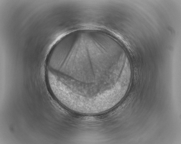 X0000115451463200912020956