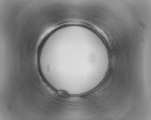 X0000115451464200912020956