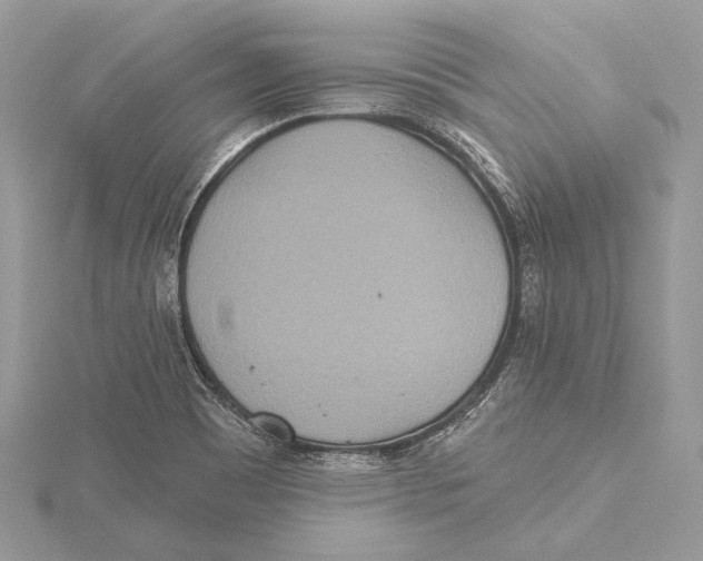 X0000115451465200912020956