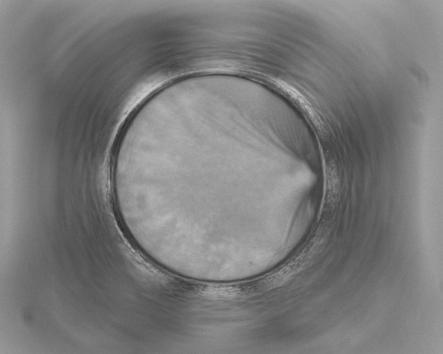 X0000115451466200912020956