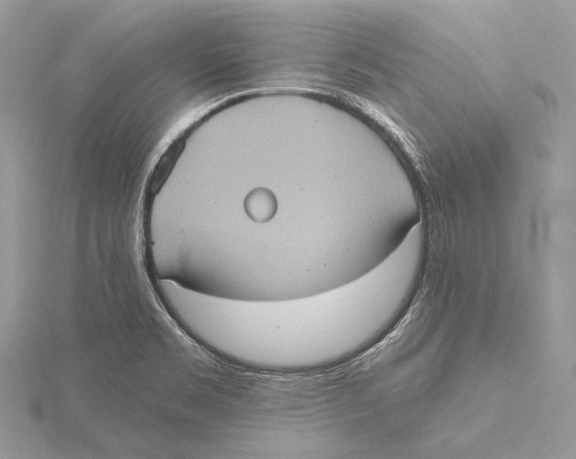 X0000115451469200912020956