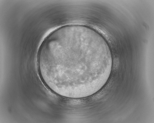 X0000115451470200912020956