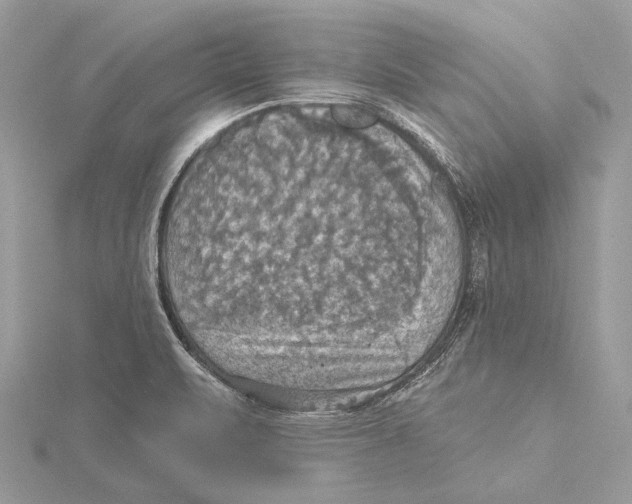 X0000115451471200912020956