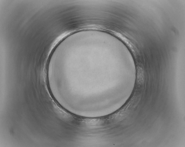 X0000115451474200912020955