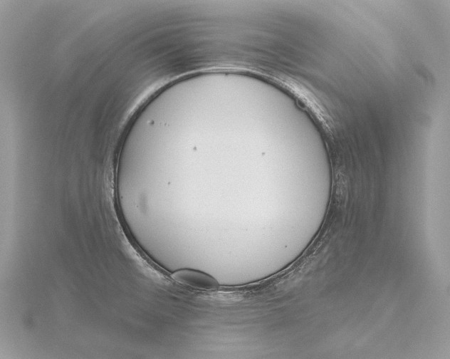 X0000115451476200912020955