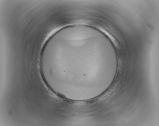 X0000115451477200912020955