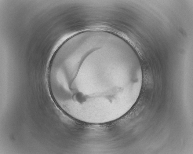 X0000115451478200912020955