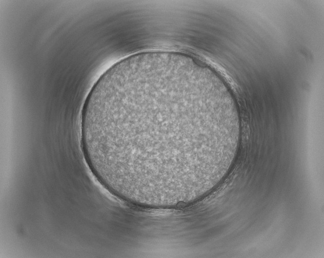 X0000115451479200912020955