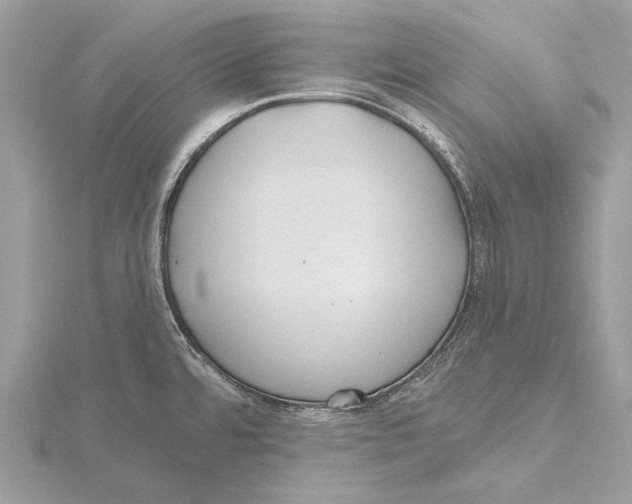 X0000115451480200912020955