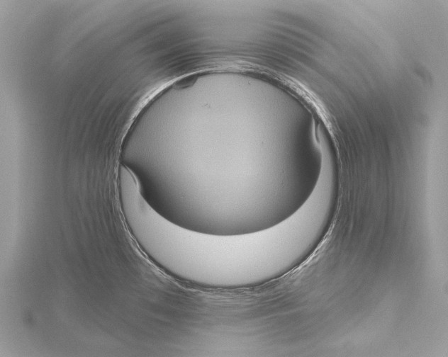 X0000115451481200912020955