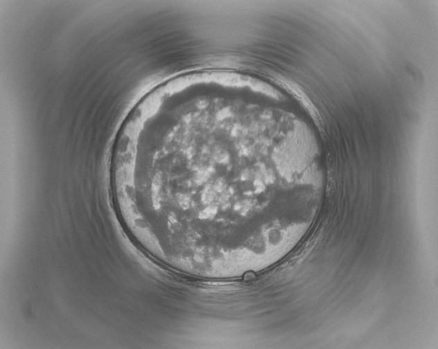 X0000115451483200912020955