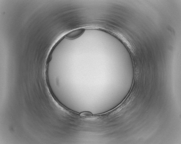 X0000115451484200912020955