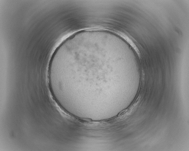 X0000115451485200912020955