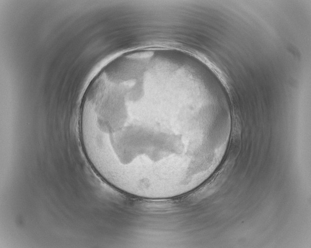 X0000115451486200912020955